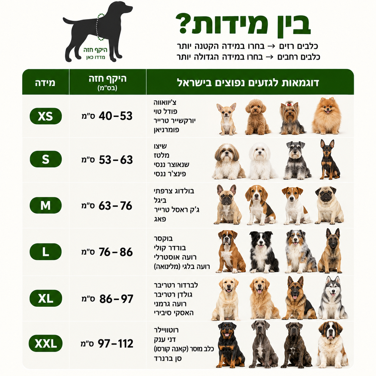 Petly™ - רתמה נגד משיכות לכלבים