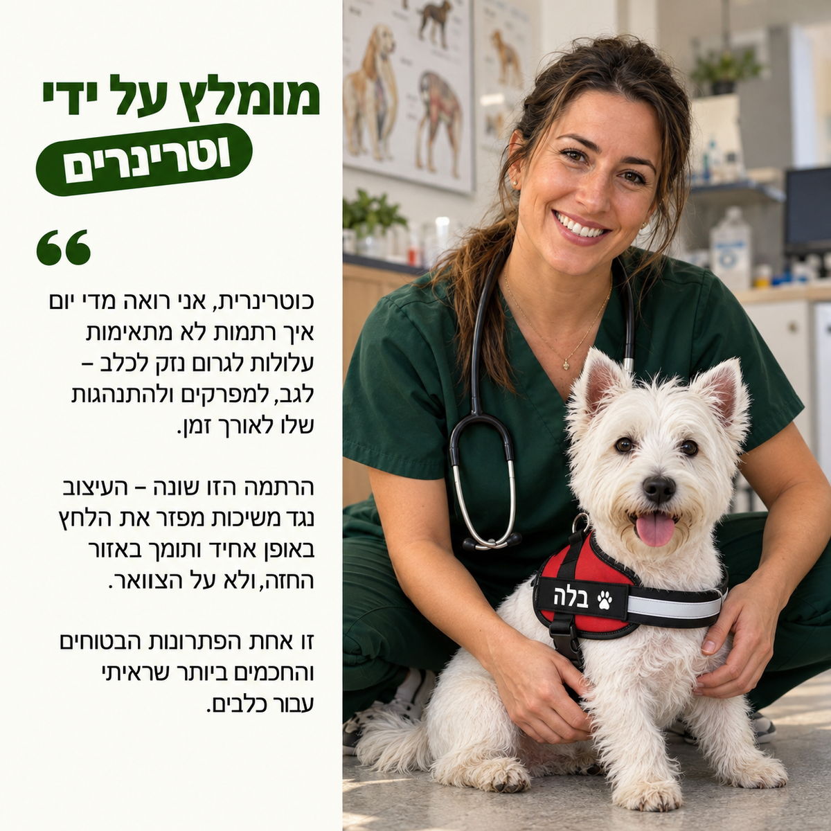 Petly™ - רתמה נגד משיכות לכלבים