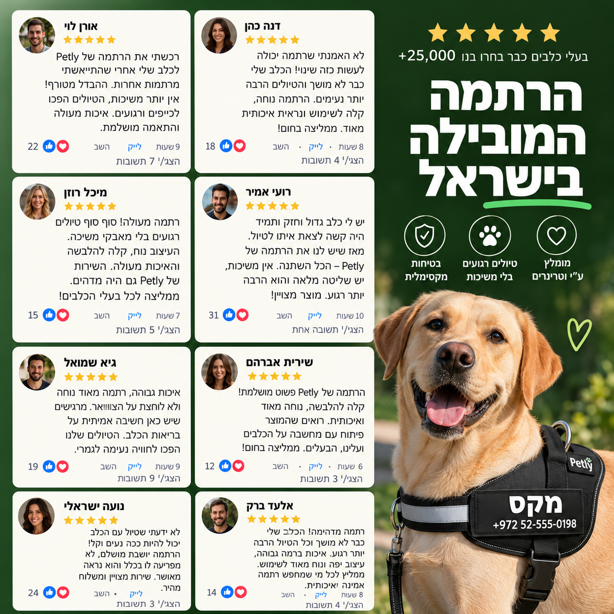 Petly™ - רתמה נגד משיכות לכלבים